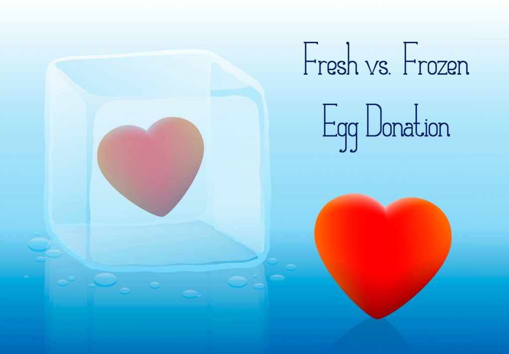 fresh-or-frozen-egg-donation-egg-donor-central